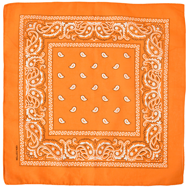 Hot Sell Kerchief Bandana Hip  - Bandana Blank White recension och pris