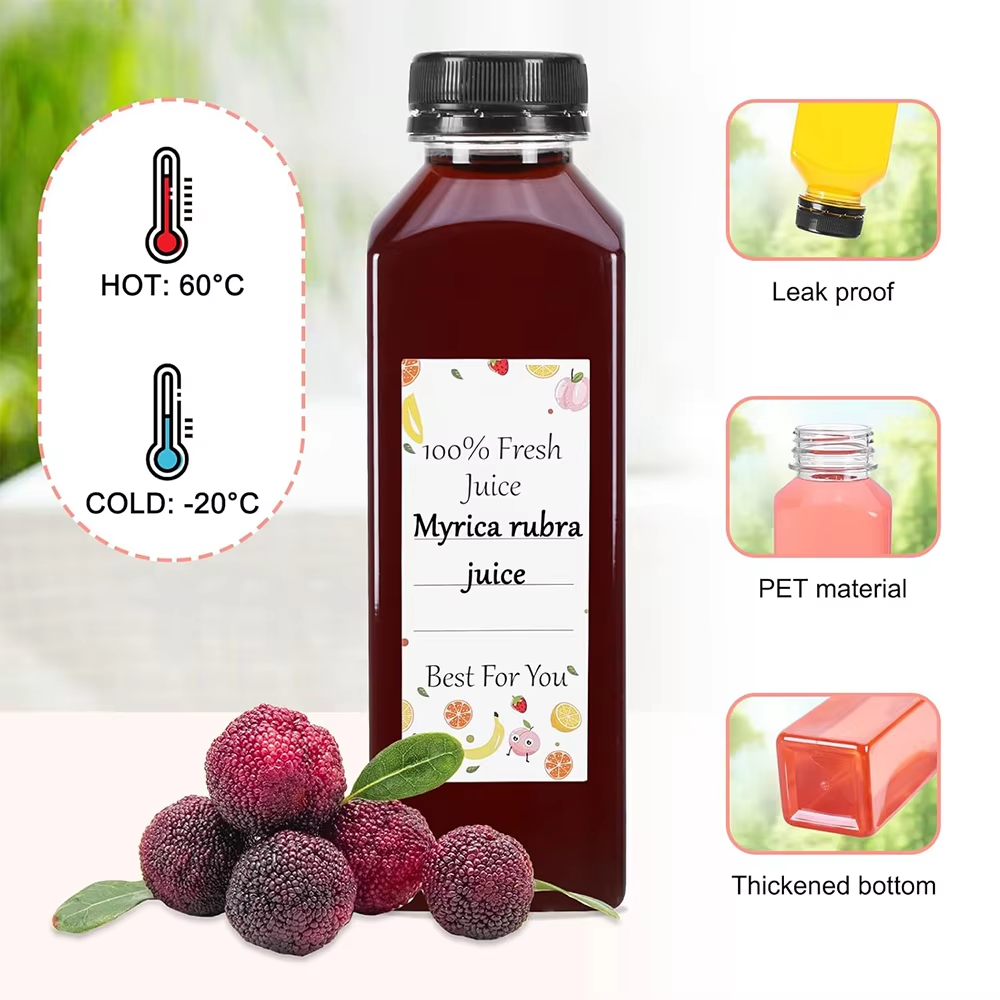 500ML Juice Bottles with Caps  - Water Bottle Blank recension och pris